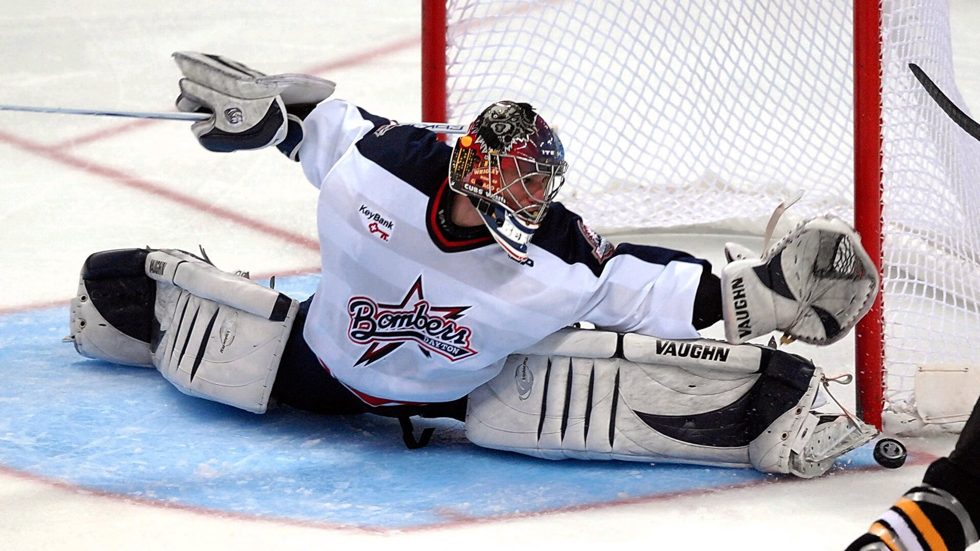 科贝特泳姿流畅展现蛙泳魅力，科贝特舰队